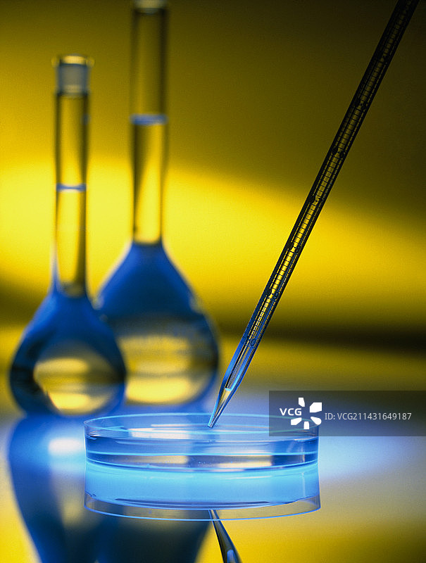 用滴管将溶液滴入培养皿图片素材