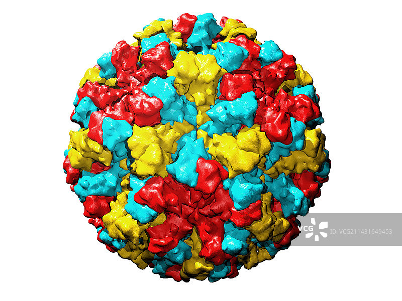 诺瓦克病毒颗粒图片素材