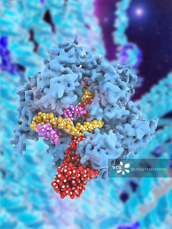 CRISPR-Cas9基因编辑复合体图片素材