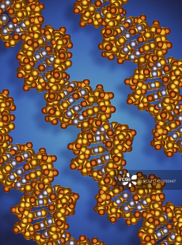DNA分子图片素材