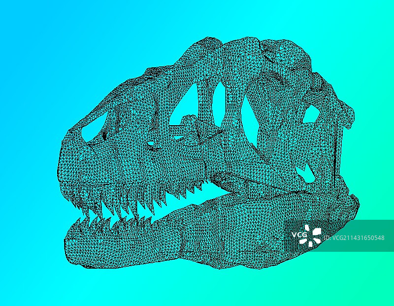恐龙骨骼计算机模型图片素材