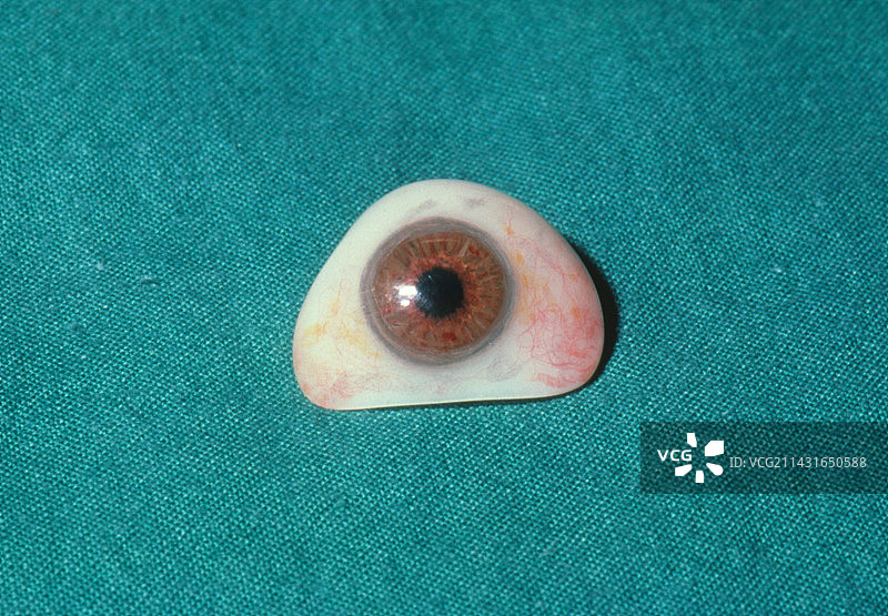 义眼（棕色）图片素材