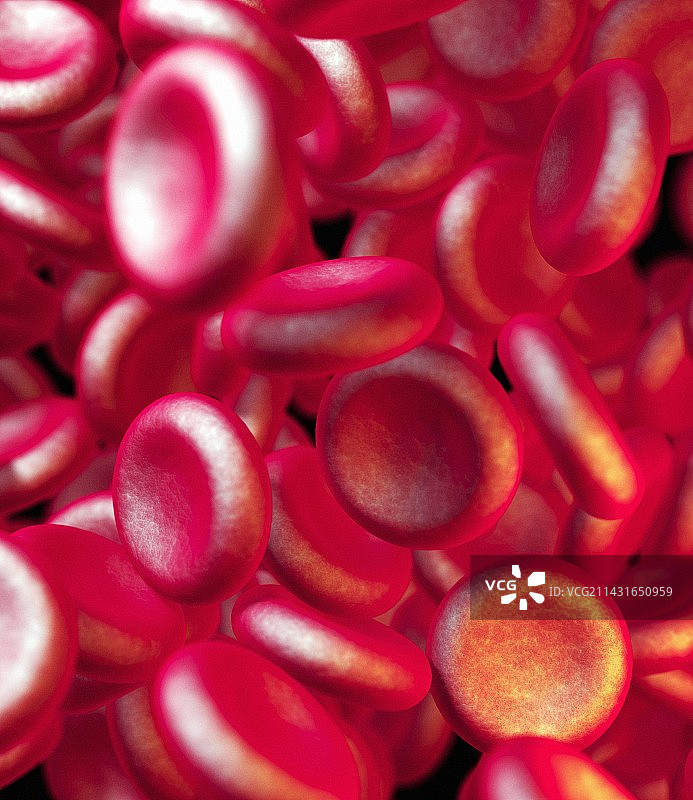 红细胞图片素材