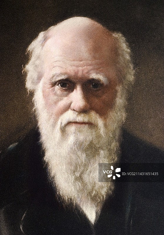1881年查尔斯·达尔文肖像图片素材
