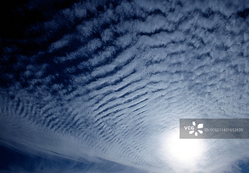 鲭鱼天空图片素材