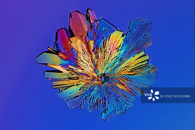 半胱氨酸晶体显微照片图片素材