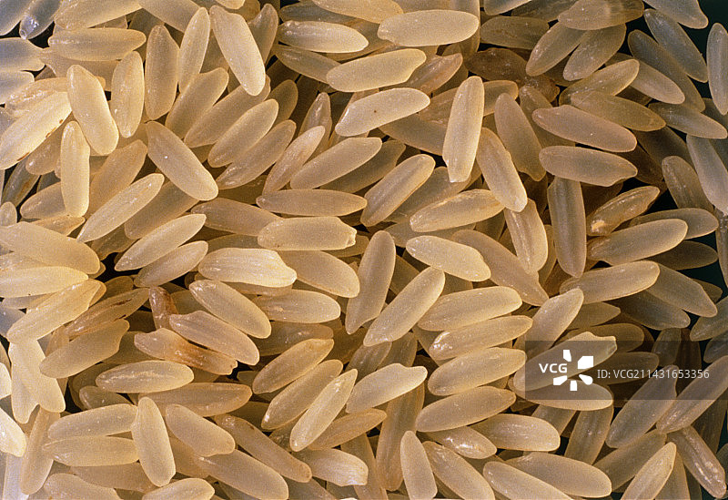 白米的微距照片图片素材