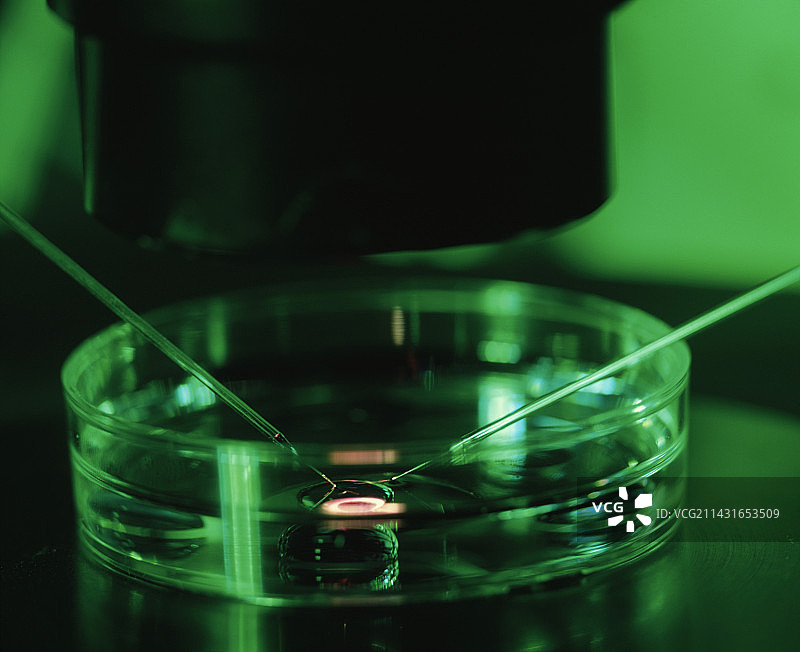 克隆研究图片素材