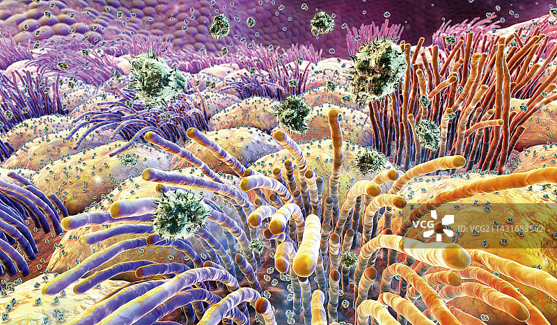 流感病毒图片素材