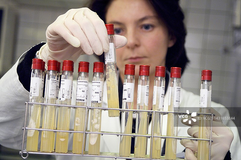 真菌病检测图片素材