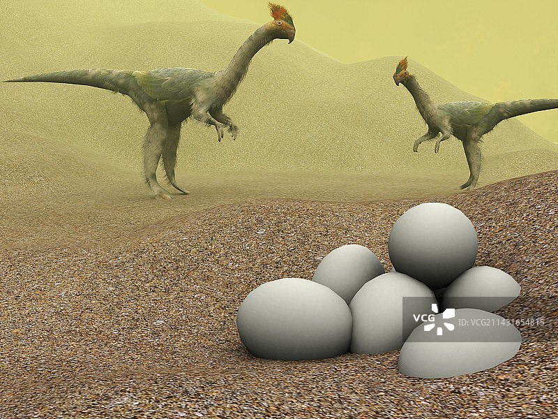 窃蛋龙图片素材