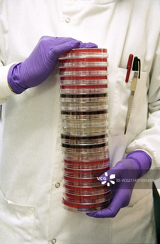 细菌研究图片素材