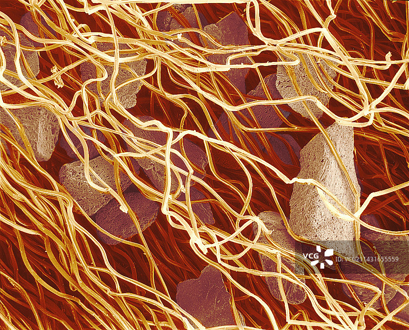 香烟过滤嘴扫描电镜图图片素材