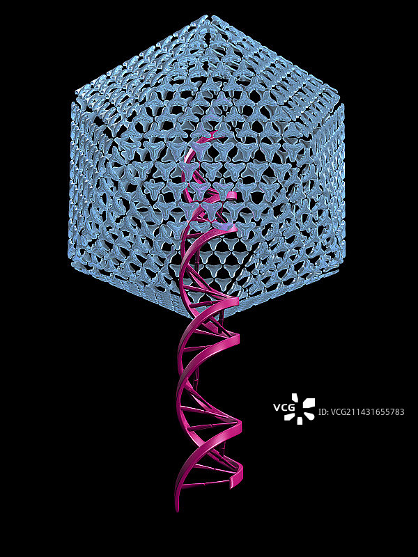 病毒基因治疗艺术图图片素材