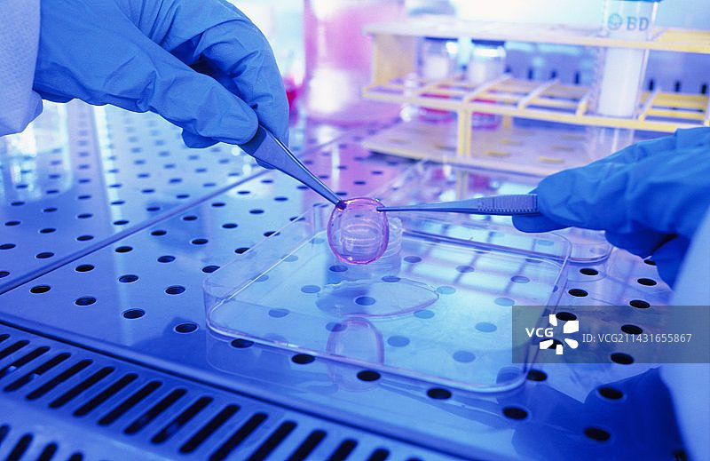 干细胞研究图片素材