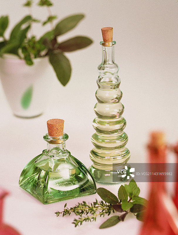 香薰精油瓶与各种草本植物图片素材