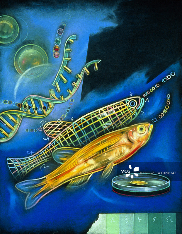 转基因鱼的抽象艺术作品图片素材