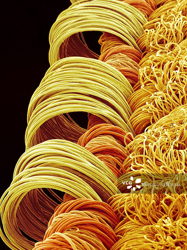 合成纤维，扫描电子显微镜图片素材