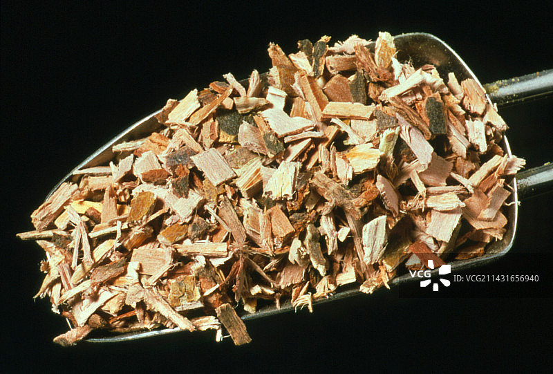 柳树皮图片素材