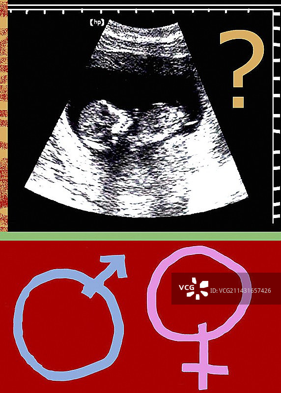 性别判定图片素材