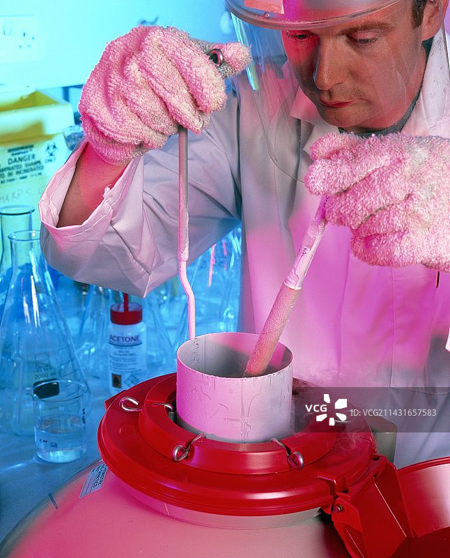 技术员从液氮储存器中取出细胞图片素材