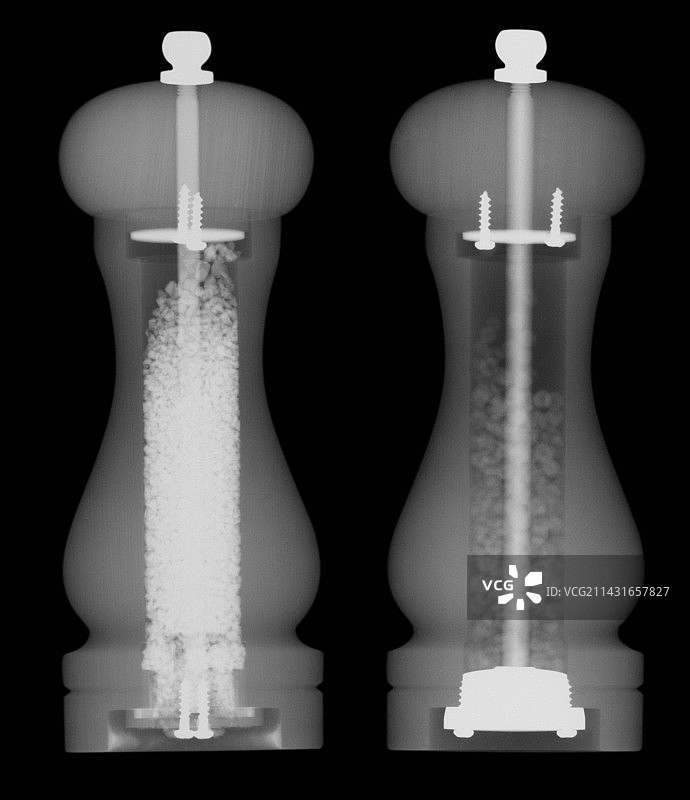 盐和胡椒研磨器X光图图片素材