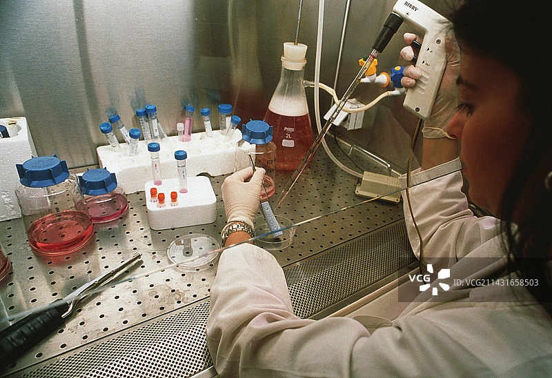 生物陶瓷图片素材