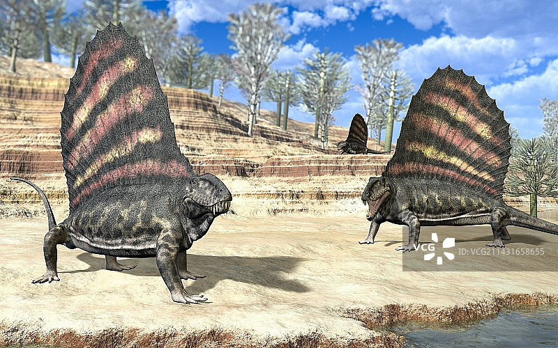 Dimetrodons（艺术作品）图片素材
