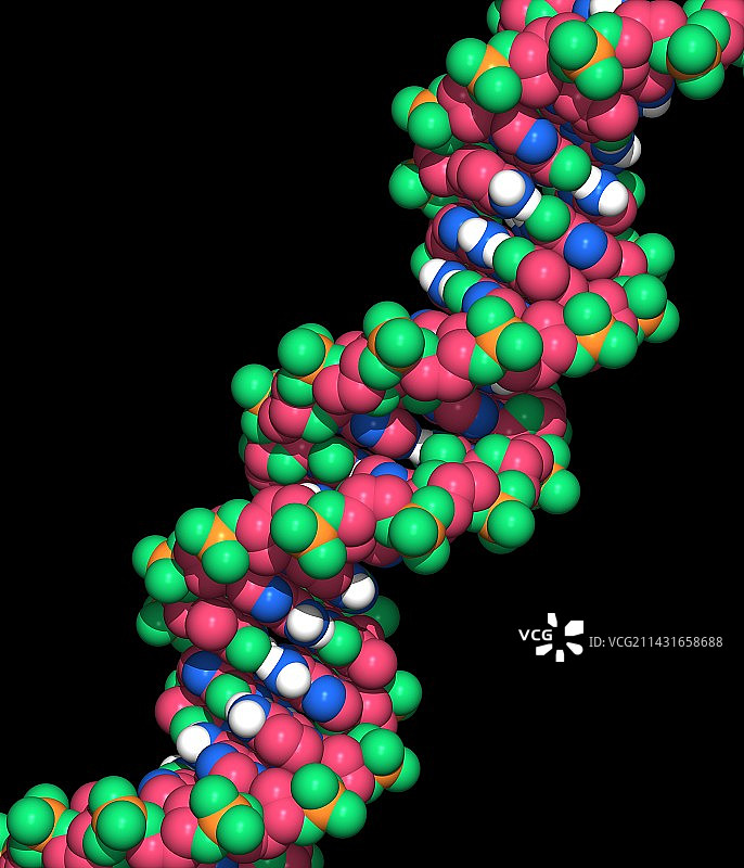 DNA分子图片素材