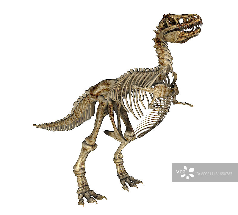 霸王龙图片素材