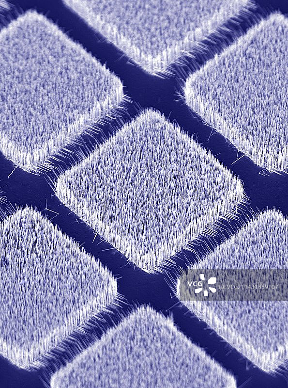 氮化镓纳米线，扫描电子显微镜图片素材