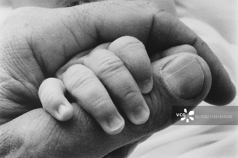 宝宝的手图片素材