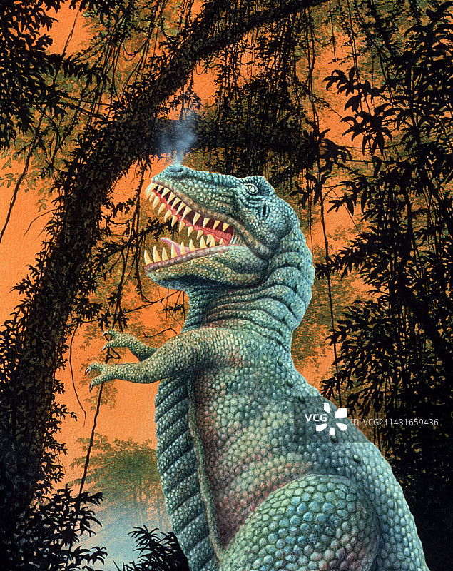霸王龙艺术作品图片素材