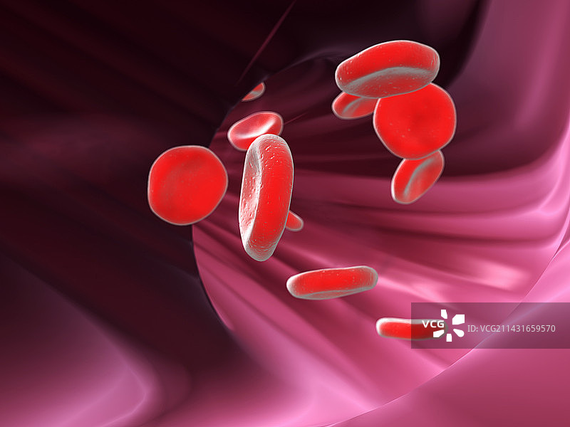 红细胞计算机艺术作品图片素材