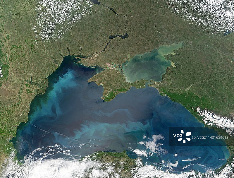 黑海的藻华图片素材