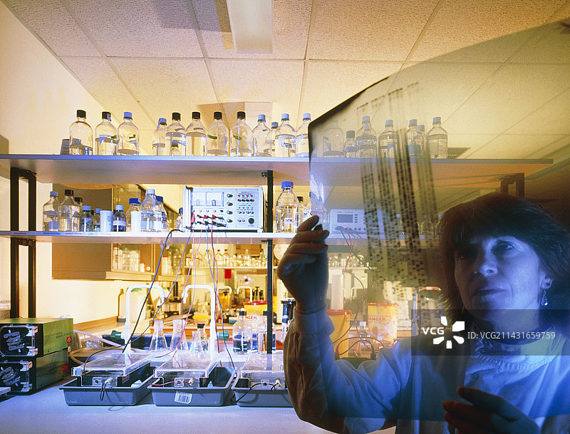 实验室技术员准备DNA指纹图片素材