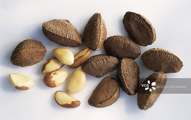 巴西坚果图片素材