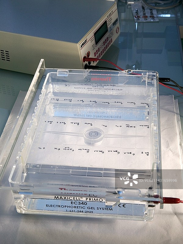 癌症研究图片素材