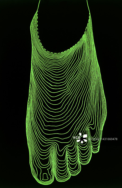 正常足背轮廓图图片素材