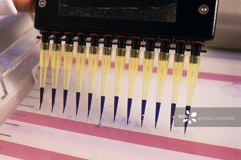 基因分析图片素材