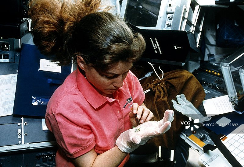 宇航员科尔曼在STS-093上研究植物生长图片素材