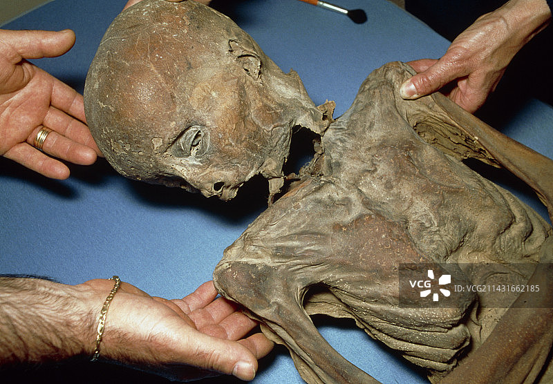 约1600年的男孩木乃伊图片素材