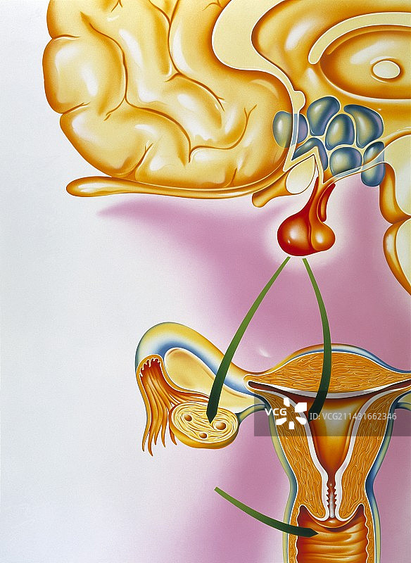 避孕药丸作用图片素材