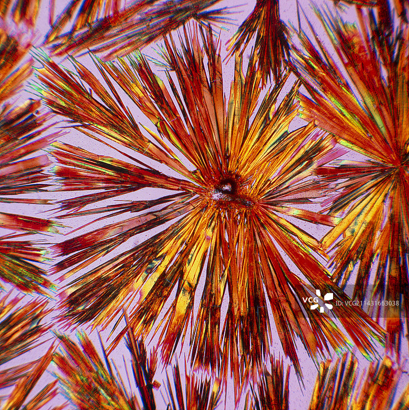 苏木精晶体的显微照片图片素材