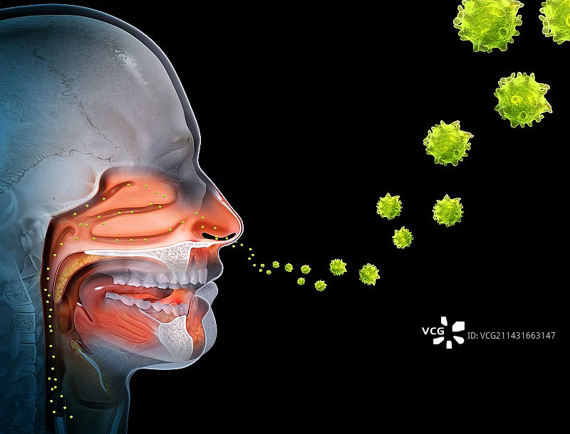 花粉热概念图图片素材