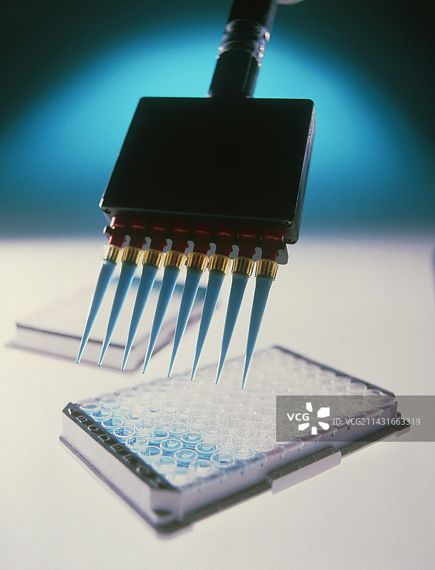 疾病抗体ELISA血液检测图片素材