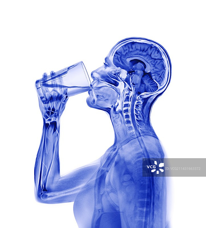 女人饮酒合成图图片素材