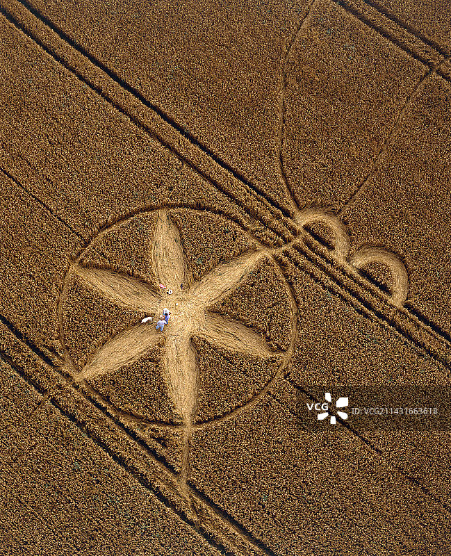 汉普郡奇斯富特的麦田怪圈图片素材