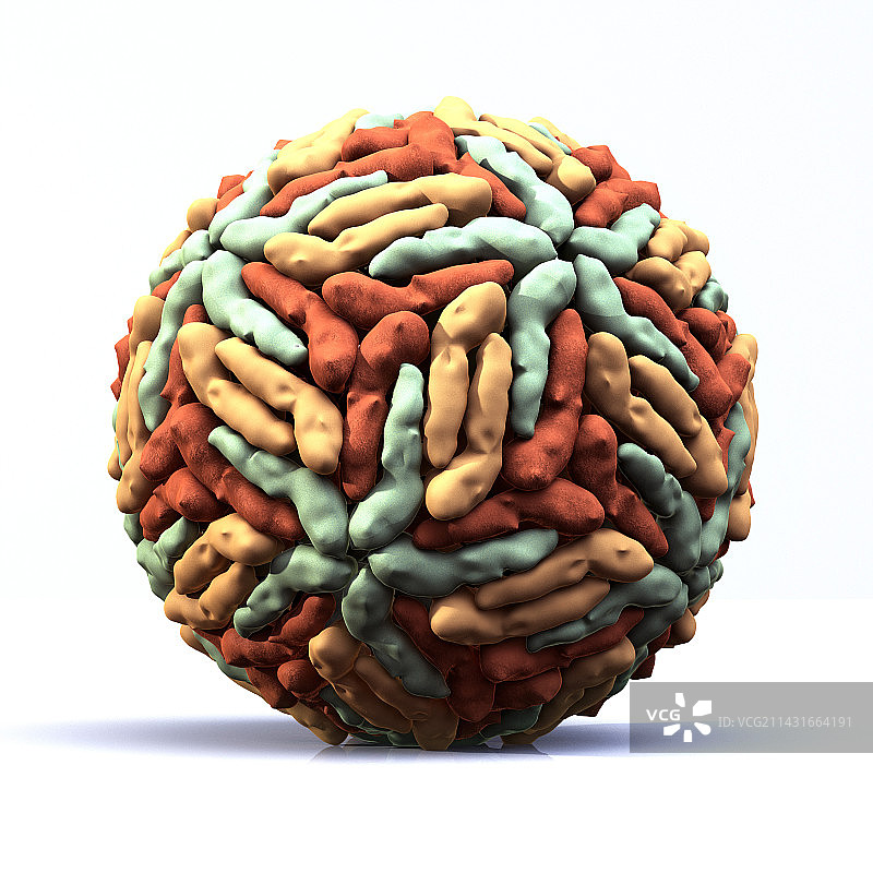 登革热病毒颗粒图片素材