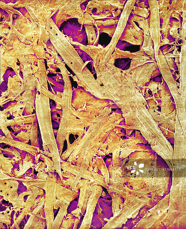 杂志纸张，搜索引擎营销图片素材